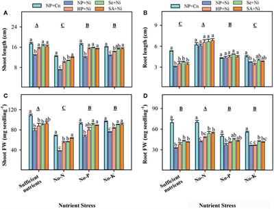 Seed Priming Improved Antioxidant Defense System and Alleviated Ni-Induced Adversities in Rice Seedlings Under N, P, or K Deprivation